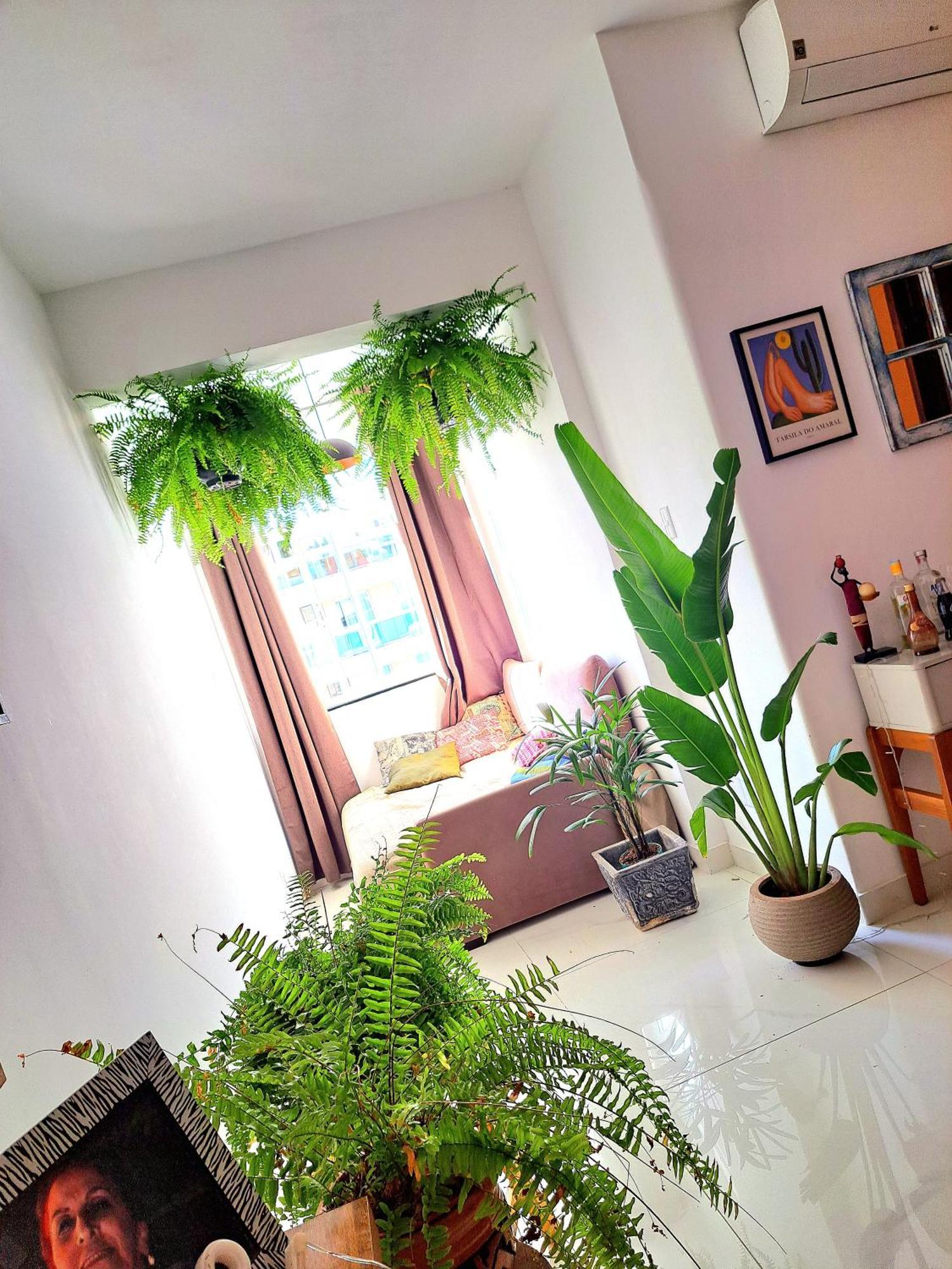 Quarto Com Anfitriao Rj Рио де Жанейро Екстериор снимка